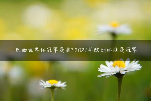 巴西世界杯冠军是谁？ 2021年欧洲杯谁是冠军