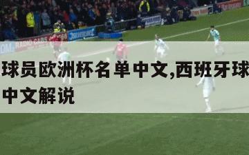 西班牙球员欧洲杯名单中文,西班牙球员欧洲杯名单中文解说